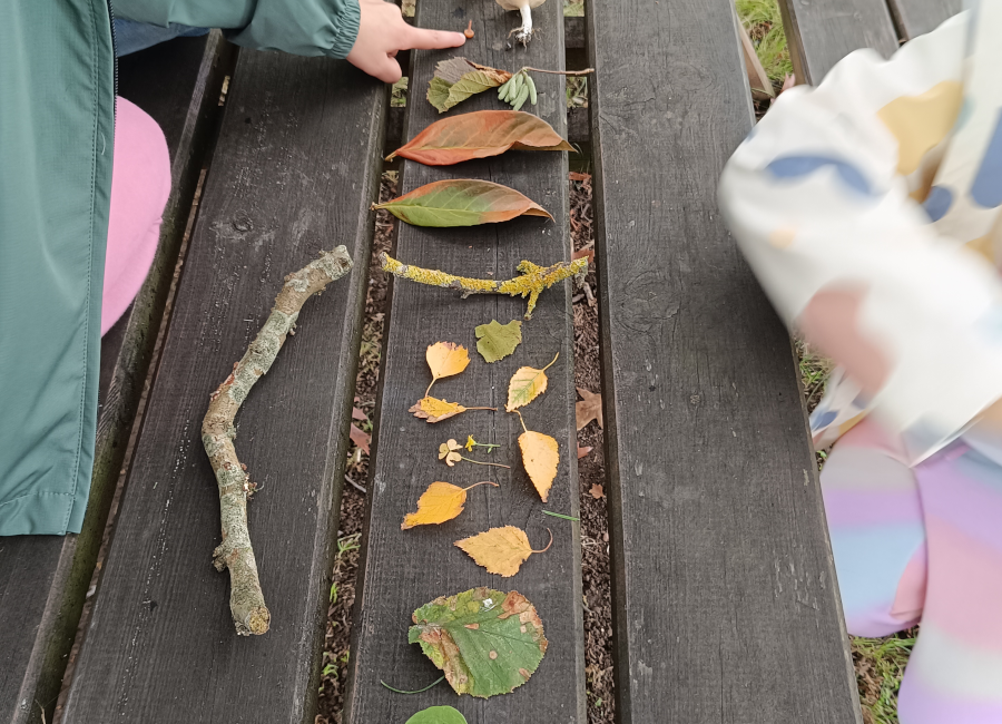 Empezamos la Escuela de Biodiseño de la primavera